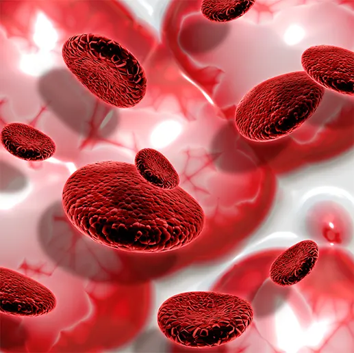 What is Mediterranean Anemia