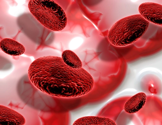 Hematoloji Ankara