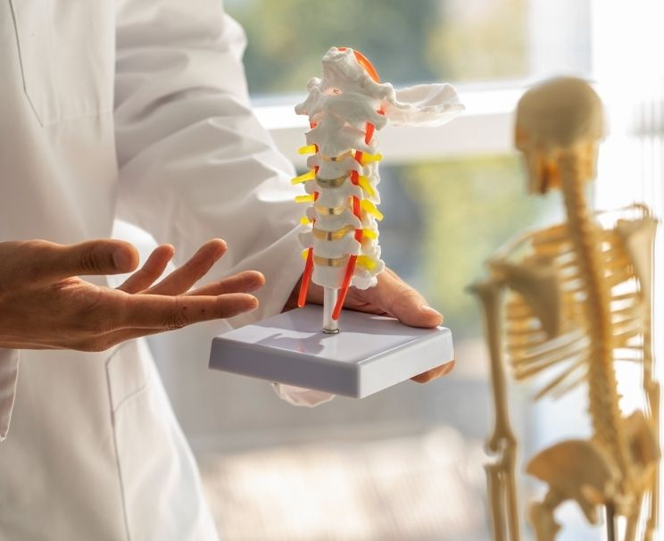 Bone Mineral Density