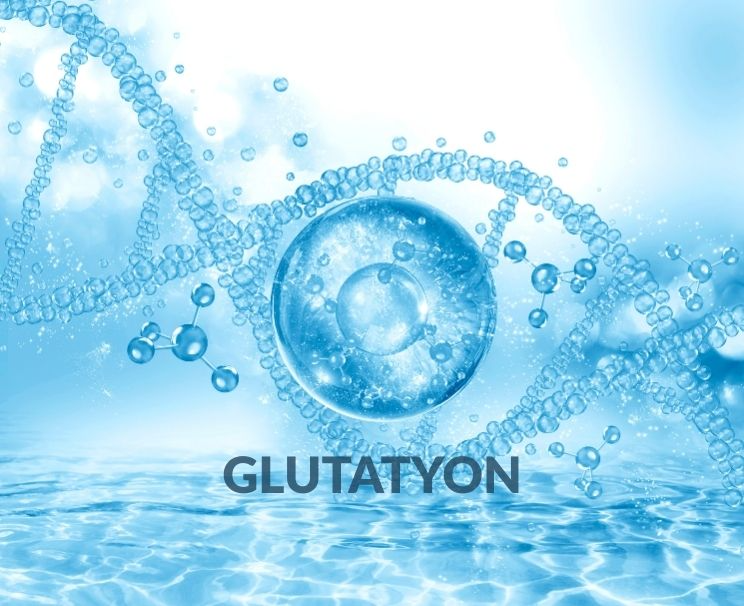Glutatyon Nedir?