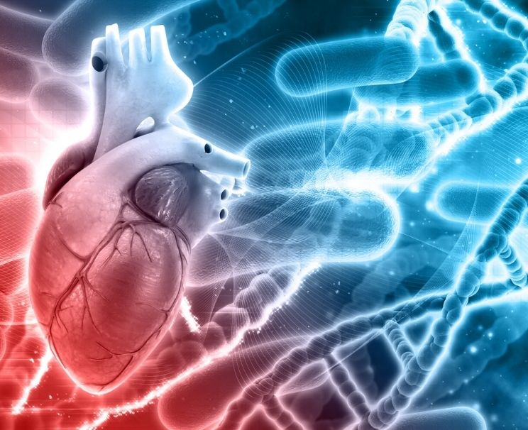 Koroner Arter Hastalığı