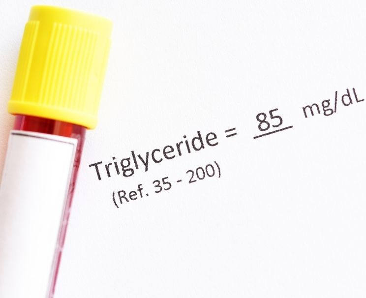 Trigliserid Nedir?